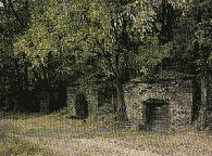 pivnice